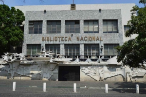 Guatemala-Stadt: private Halbtagestour mit Ticket