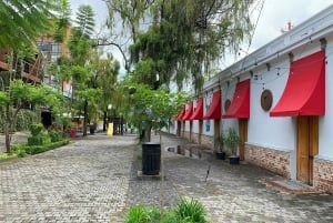 Guatemala City: Urban Tour of the capital's treasures