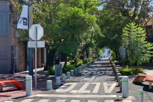 Guatemala City: Urban Tour of the capital's treasures