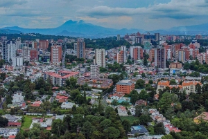 Guatemala City: Urban Tour of the capital's treasures