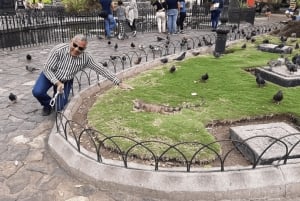 Guayaquilin kaupunkikierros, johon sisältyy Santa Anan majakka (Light House of Santa Ana)