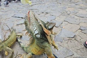 Guayaquil: Personalized City Tour with Guide