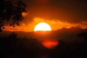 Guayaquil: Personalized City Tour with Guide