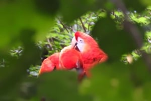 Guayaquil: Personalized City Tour with Guide