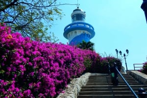 Guayaquil: Personalized City Tour with Guide