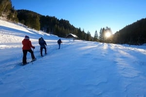 Guided Snowshoe Hikes in Chamonix Mont Blanc