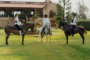 Hacienda Campo Rico: 2 timers historie og hestedemonstration