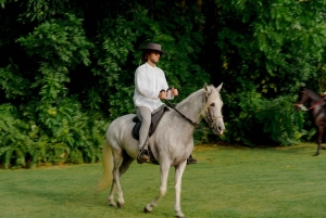Hacienda Campo Rico: 2 timers historie og hestedemonstration