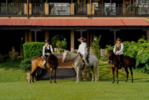 Hacienda Campo Rico: 2 timers historie og hestedemonstration