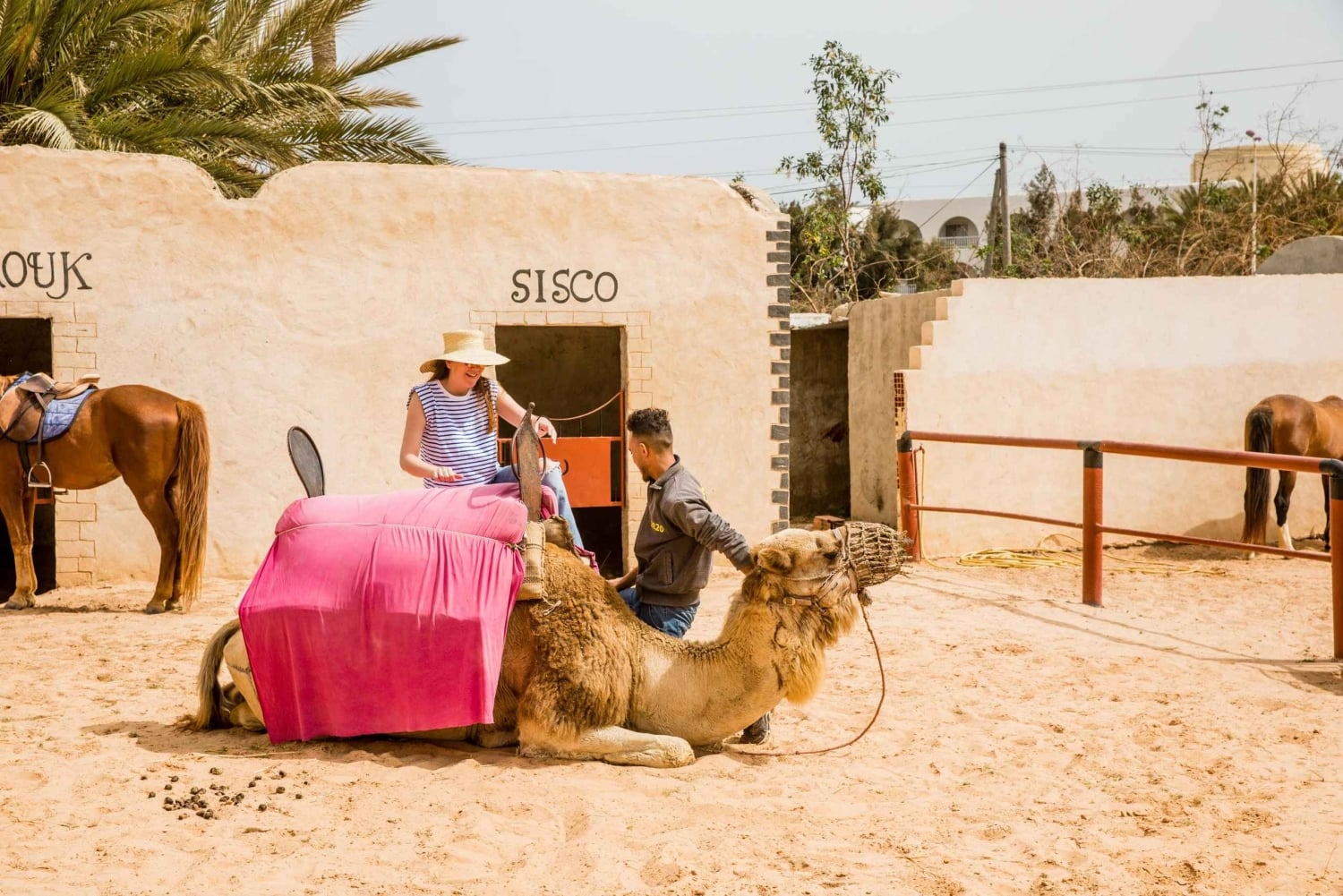 Hammamet: Guidet kamelridning