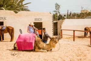 Hammamet: Guidet kamelridning