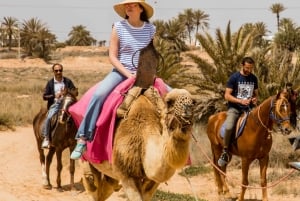 Hammamet: Guidet kamelridning