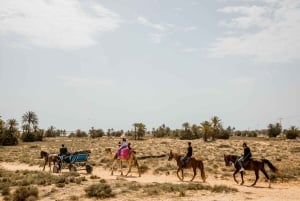 Hammamet: Guidet kamelridning