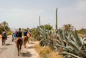 Hammamet: Guidet kamelridning