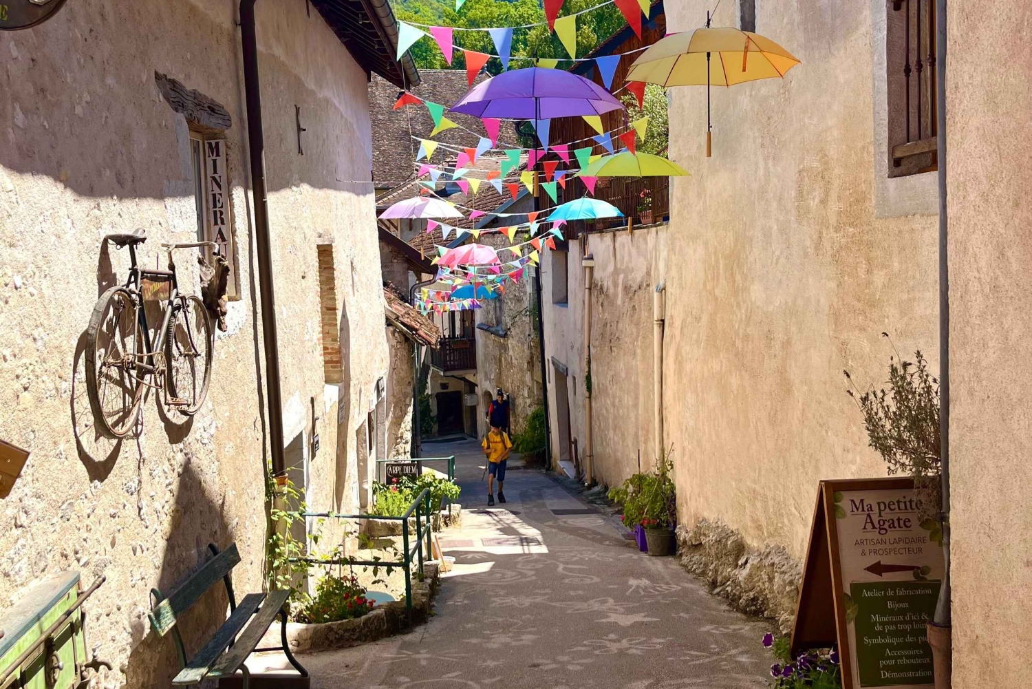 アンシーとエクス・レ・バンから出発：シャナーズ訪問と湖でのクルーズをお楽しみください