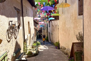 アンシーとエクス・レ・バンから出発：シャナーズ訪問と湖でのクルーズをお楽しみください