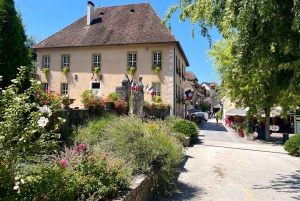 アンシーとエクス・レ・バンから出発：シャナーズ訪問と湖でのクルーズをお楽しみください