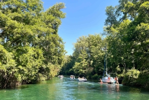 アンシーとエクス・レ・バンから出発：シャナーズ訪問と湖でのクルーズをお楽しみください