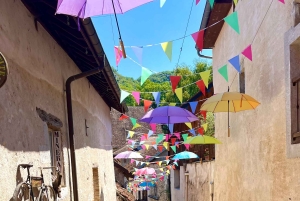 アンシーとエクス・レ・バンから出発：シャナーズ訪問と湖でのクルーズをお楽しみください