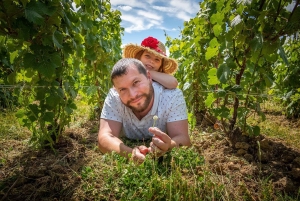 Coeur de la Vallée: Visite du Domaine et Dégustation de 4 champagnes
