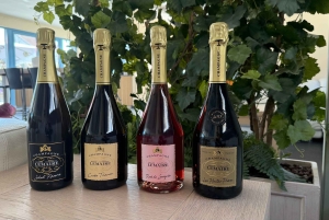 Coeur de la Vallée: Visite du Domaine et Dégustation de 4 champagnes