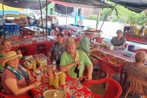 Huatulco: tour guiado por la ciudad de México con degustación de tacos y bebidas