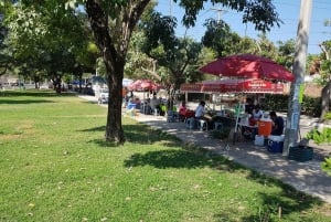 Huatulco: tour guiado por la ciudad de México con degustación de tacos y bebidas