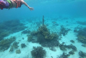 Isla Mujeres: Catamaran Tour, snorkel, buffet and open bar