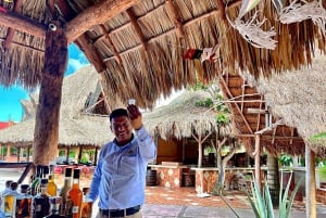 Insel Tour in Cozumel Maya Show: All Inklusive