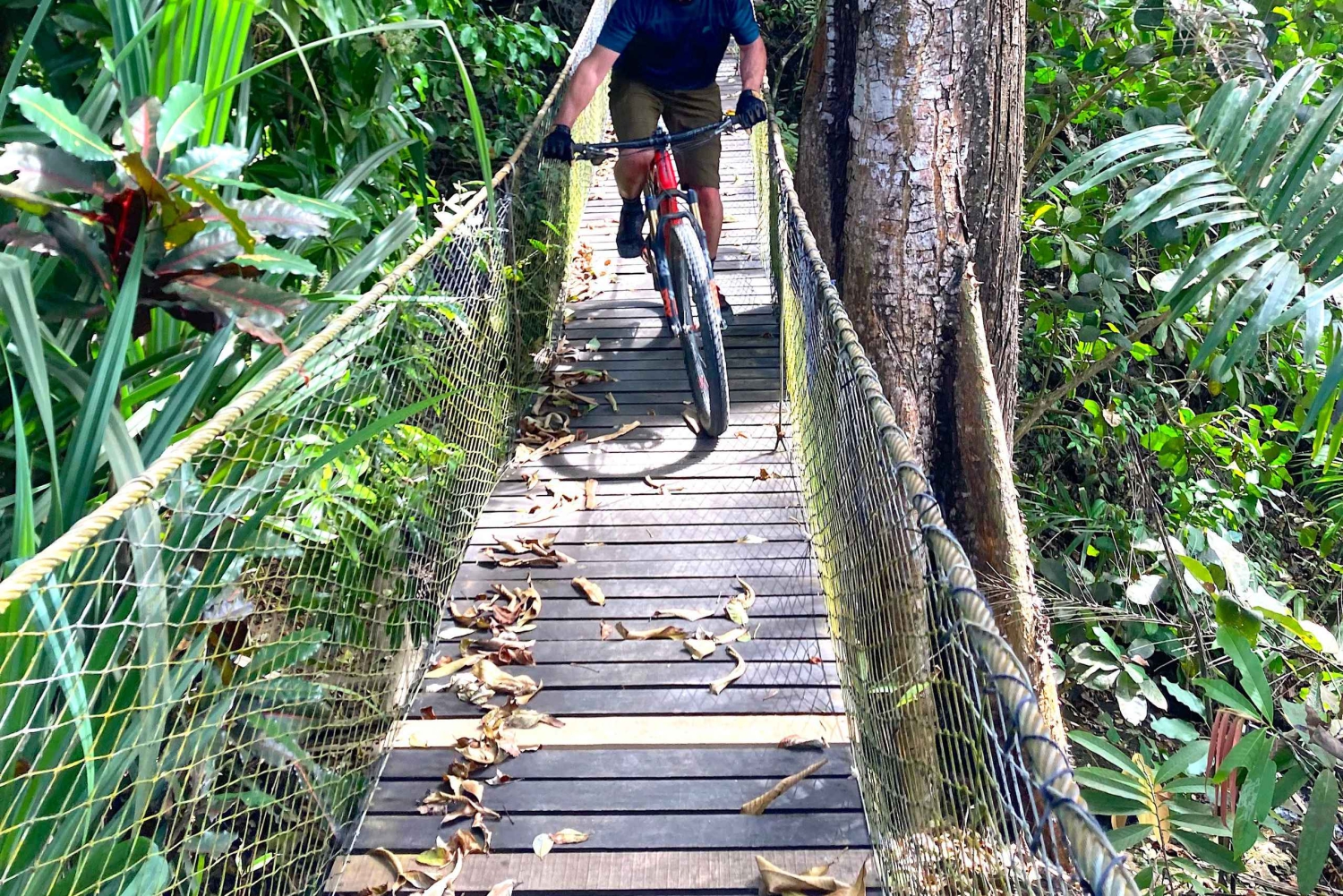 Excursion en VTT dans la jungle et baignade dans une cascade