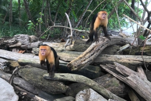 Excursion en VTT dans la jungle et baignade dans une cascade