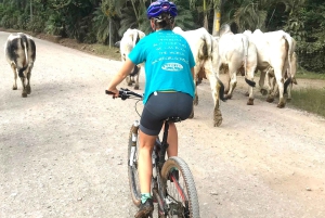 Excursion en VTT dans la jungle et baignade dans une cascade