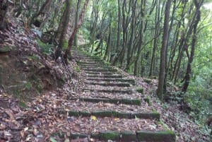 Kathmandu: Escursione guidata al monastero di Nagarjun Jamacho