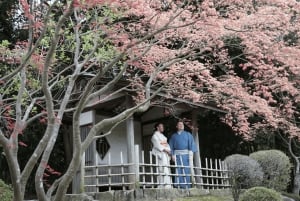 Kimono- og teceremonioplevelse i en japansk have i Chiba