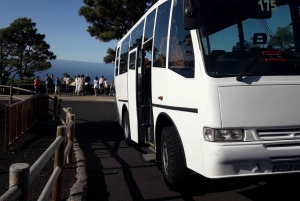 La Palma: San Antonio and Teneguia Volcanos Tour by 4x4 Bus