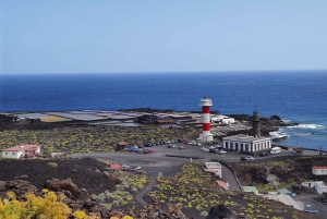 La Palma: San Antonio and Teneguia Volcanos Tour by 4x4 Bus