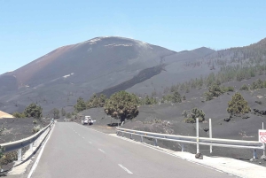 La Palma: San Antonio and Teneguia Volcanos Tour by 4x4 Bus