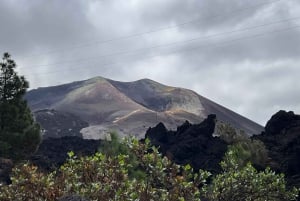 Wycieczka po La Palma: Santa Cruz, Cumbrecita i krajobraz wulkaniczny