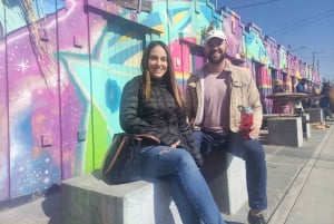 ラパス：ケーブルカー、墓地、シャーマン、エル アルト ツアー