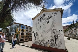 ラパス：ケーブルカー、墓地、シャーマン、エル アルト ツアー