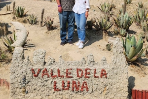 La Paz: Private City Tour with Cable Car & Moon Valley Visit