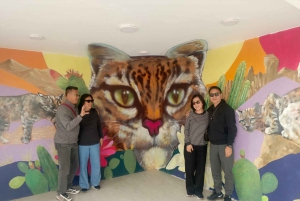 La Paz: Private City Tour with Cable Car & Moon Valley Visit