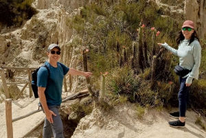 La Paz: Tour privado de la ciudad con teleférico y visita al Valle de la Luna