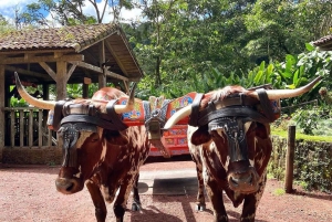 La Paz Wasserfall und Cinchona Tour