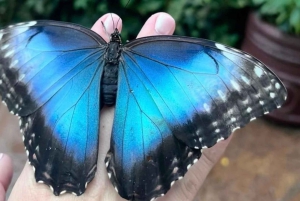 La Paz Wasserfall und Cinchona Tour