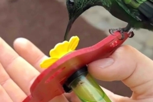 La Paz Wasserfall und Cinchona Tour