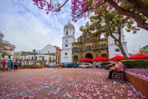 La Vieja, Miraflores Canal, & Casco Viejo Private City Tour