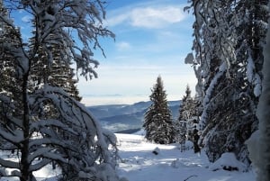 Lac Blanc: Dagstur i snøen