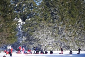 Lac Blanc: Dagstur i snøen