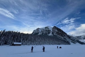 Lake Louise & Emerald Lake Half Day Tour from Canmore/Banff